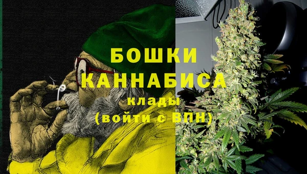 гашик Бронницы